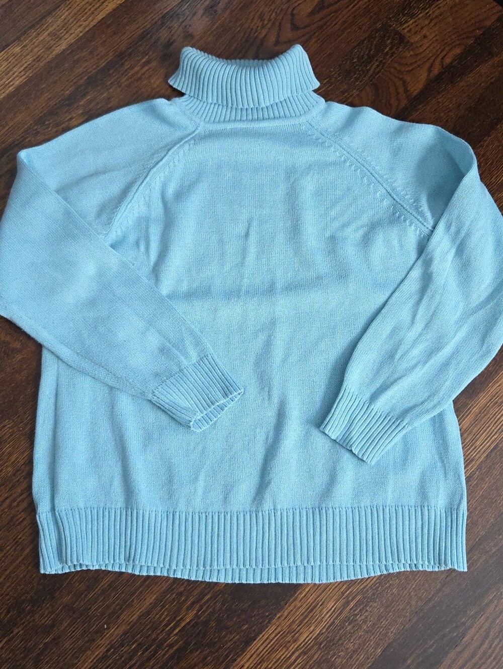 Light Sky Blue Cotton Sweater Turtleneck Karen Scott Size L